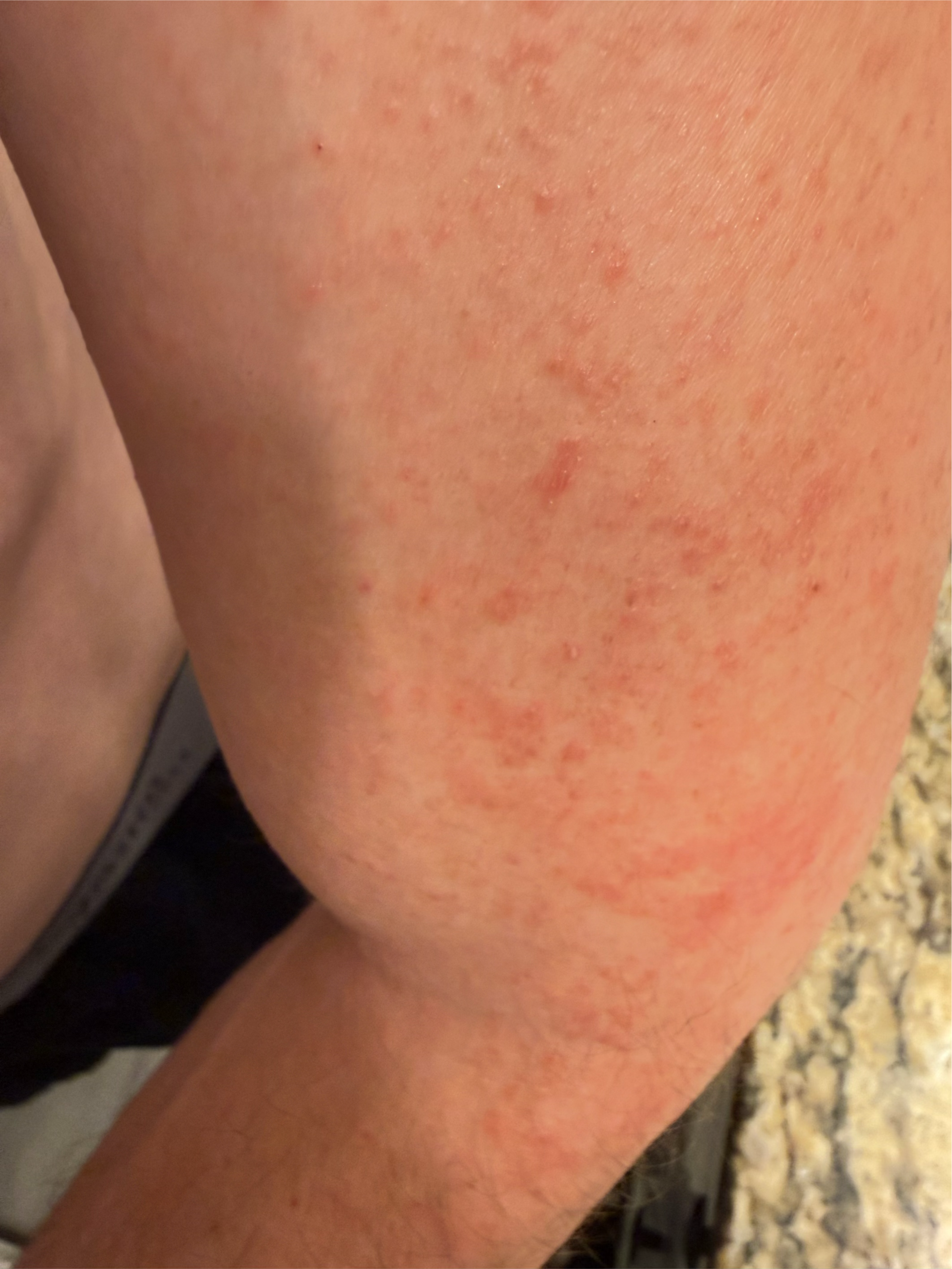 Pasted image 20260212212454.png