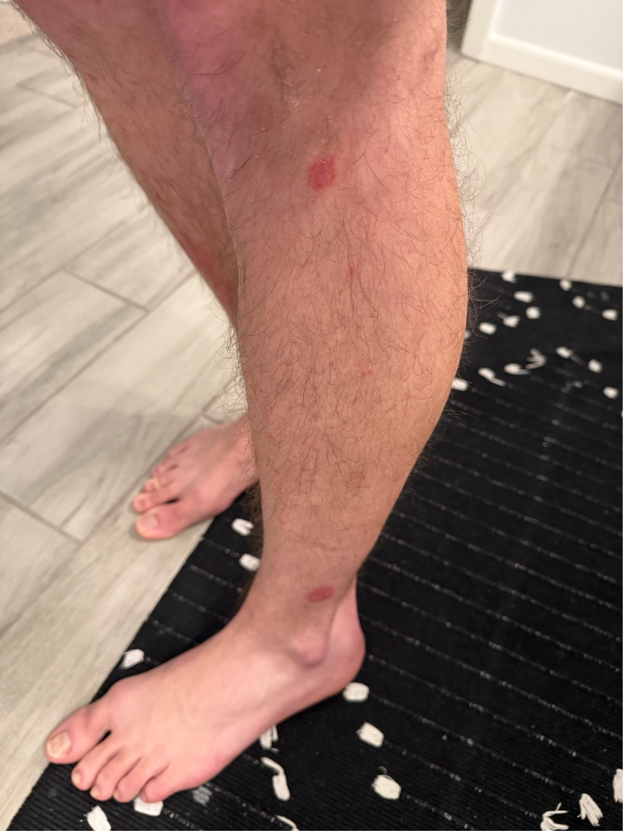 Pasted image 20260212212549.png